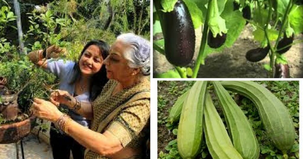 Gurgaon Residents Have a New Weekend Hobby: Grow Their Own